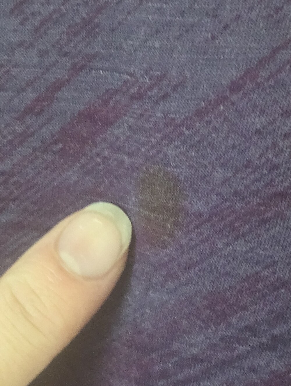 Smartwool Purple - Picture 11 of 11